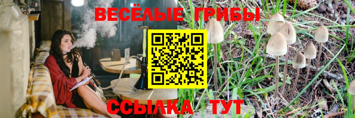Псилоцибиновые грибы MAGIC MUSHROOMS  Вход с VPN  Кунгур 